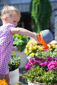 可爱的小女孩 用水罐子浇鲜花场地女孩花园牛仔裤园艺金发植物学孩子爱好裙子图片