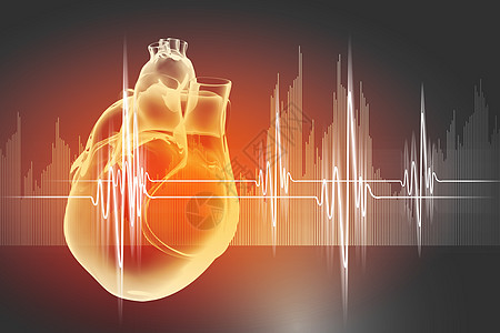 人类心跳疾病生活生物学测试考试医院保健卫生心室诊断图片