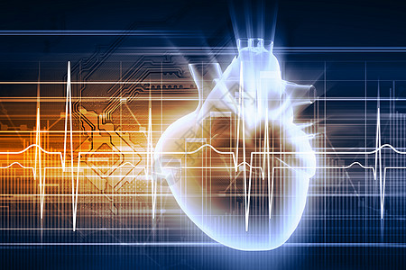 人类心跳卫生脉冲生物学测试考试手术科学流动心室心血管图片