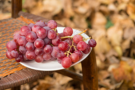 葡萄盘子树叶红色季节性食物水平静物水果椅子图片