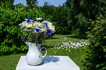 清凉一夏夏花花花瓶园艺晴天荒野装饰桌子阳光照射野花植物蓝色背景