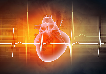 人类心跳有氧运动心血管测试卫生保健脉冲压力流动图表屏幕图片