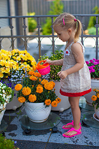 小小孩女孩用水罐给花浇鲜花院子紫色生长生活喷壶植物爱好牛仔裤场地叶子图片