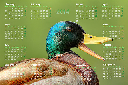 2014年日历电脑商业季节日记办公室数字正方形时间庆典插图十二月高清图片素材
