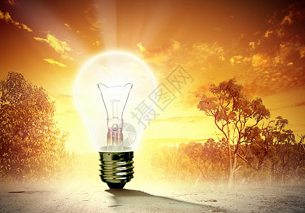 灯泡和自然生态玻璃解决方案创新阳光技术回收植物活力发明图片