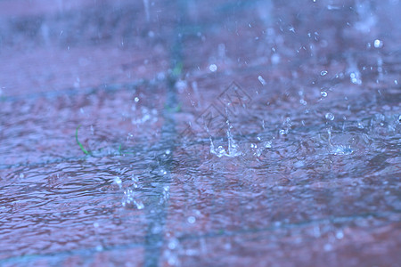 户外雨气泡环境水平活力液体海浪同心眼泪雨滴涟漪图片