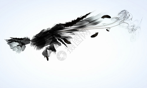 黑翅膀齿轮侵略阴影飞行航班仙境黑暗标签羽毛鸽子图片