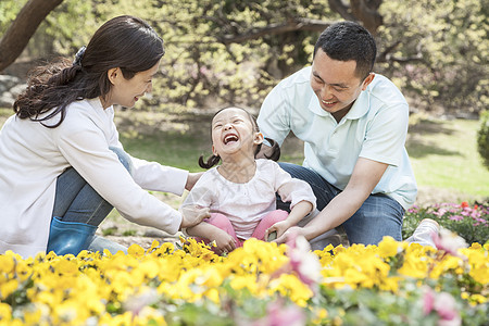 家庭坐在花园里活动团结父亲微笑城市童年女儿树木花朵幸福图片