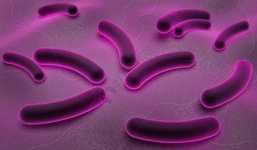 Ecoli细菌实验室动物科学生物学疾病小宇宙大肠杆菌病原状况衰变图片