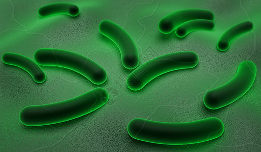 科利细菌图片