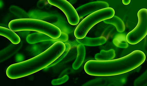 科性细菌医疗大肠杆菌生物学小宇宙生物科学病菌病原寄生虫显微镜图片