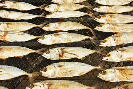小鸡尾鱼会被空气驱动鱼干材料动物皮肤美食美食家空间竹子膳食饰物图片