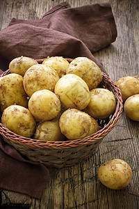 新土豆收成园艺植物营养食物农场团体蔬菜木头淀粉图片