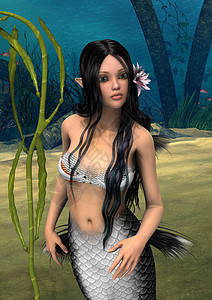 美人鱼游泳故事女性尾巴藻类女孩童话生物神话魔法图片
