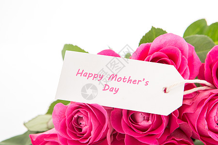 紧贴着一束美丽的粉红玫瑰花束子 白色背景的快乐母亲日卡片问候语粉色礼物缠绕植物标签花束展示花瓣图片