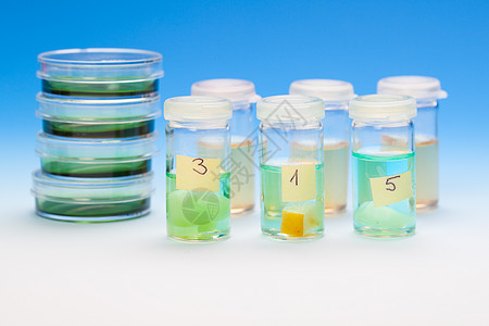 塑料小瓶中的样本 用于显微镜和生物心理组织预防组织学医院癌症化学液体实验室保健蓝色药品图片