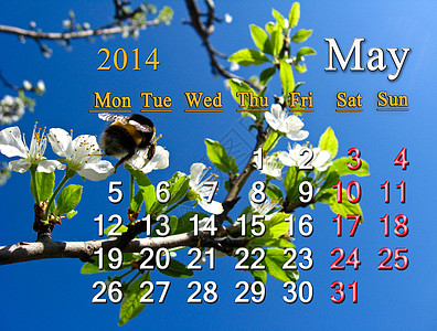 2014 年 5 月的日历议程桌子商业时间香气日记叶子办公室李子日程图片