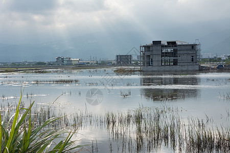 沼泽的景观池塘浮木风景农村建筑多云天堂叶子天空场地图片