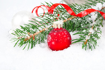 圣诞舞会和雪地背景的卷毛树枝图片