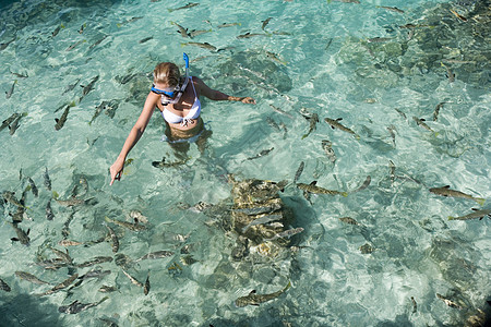 热带环礁湖中女孩与鱼一起在上浮带钓鱼图片