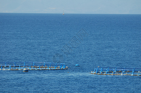 大西洋鱼类养殖场渔业圆圈蓝色商业钓鱼植物水产海鲜水池食物图片