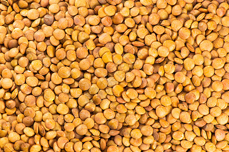 干扁豆食物粮食营养饮食镜头橙子厨房种子食谱植物图片