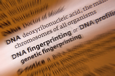 DNA指纹 - DNA图解图片