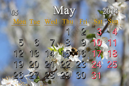 2014 年 5 月的日历李子时间办公室叶子翅膀花园天空商业香气季节图片