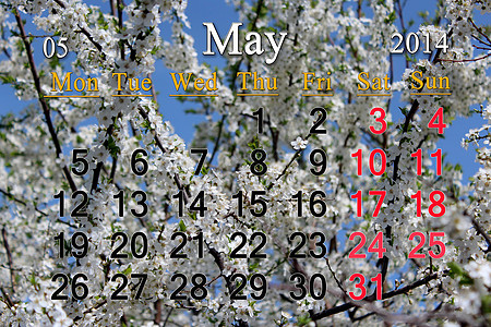 2014 年 5 月的日历李子办公室桌子商业叶子密码议程数字季节天空图片