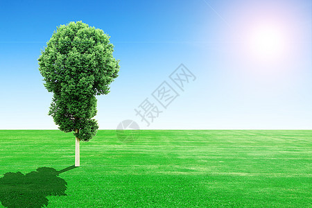 绿草地和有日与天的树国家蓝色农业环境土地风景树木丘陵农村草原图片