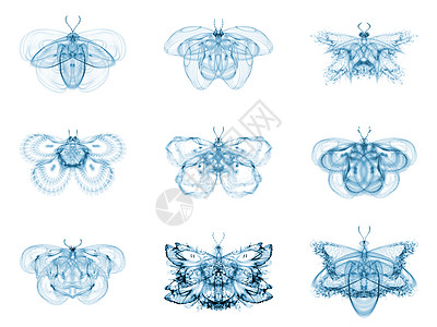 虚拟折形蝴蝶眼睛昆虫蓝色翅膀触角收藏生物学奉承插图航班图片