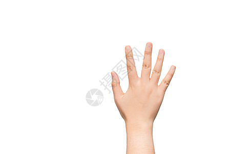 手掌与开阔的海枣交接灰色手势身体商业一部分信号手指白色手腕图片