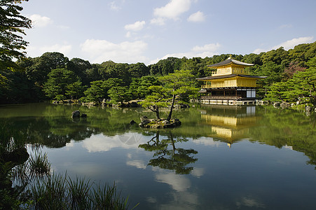 日本京都金角寺黄金殿堂外观禅寺场景镜池文化历史性建筑学建筑树木风景图片