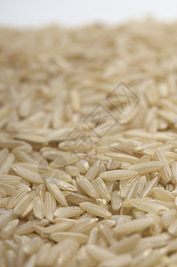 棕米肥图片