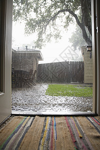 后院大雨图片