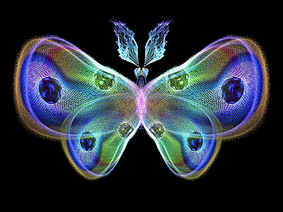 分形蝴蝶设计渲染创造力元素漏洞森林数学动物昆虫科学图片
