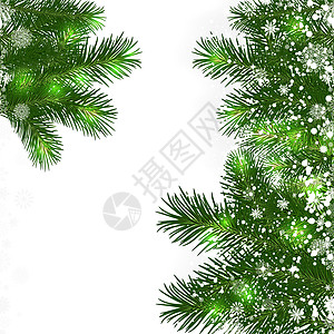 圣诞节背景 圣诞树绿色枝叶和圣诞树绿树季节美丽问候语乐趣边界星星插图雪花墙纸卡片图片