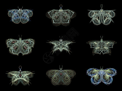 象形分形蝴蝶翅膀眼睛昆虫学设计艺术渲染触角航班元素漏洞图片