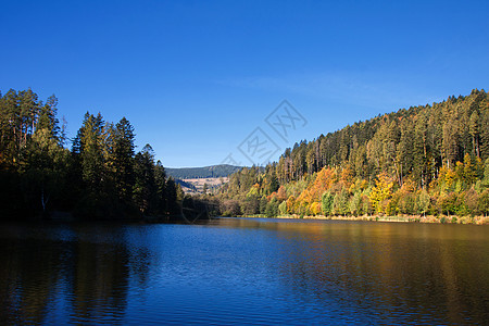 湖与秋天的反射植物风景晴天树木木头荒野树叶森林蓝色叶子金的高清图片素材