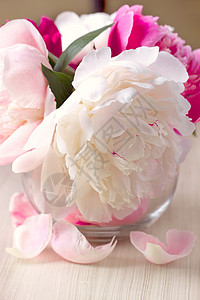 花瓶中的小桃花园艺花园绘画生日花瓣紫色介子玫瑰叶子花束图片