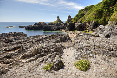 夏季的德文海岸线场地英语目的地农村海岸岩池海景假期野花环境图片