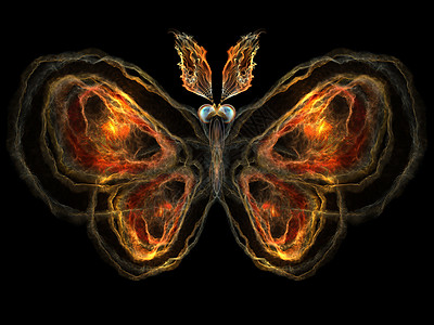 分形蝴蝶元素数学漏洞动物翅膀奉承生物学航班宏观昆虫图片