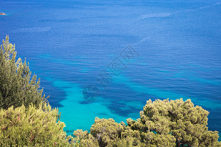 希腊岛天堂牧歌海洋远景节日旅游风景松树假期天蓝色图片