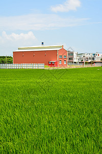 国家稻米农场天空粮食灌溉生长种子种植园培育草地谷物机械图片