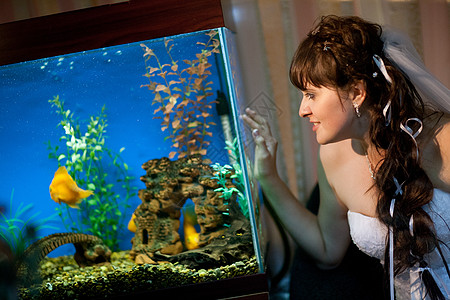 新娘在水族馆里看鱼图片