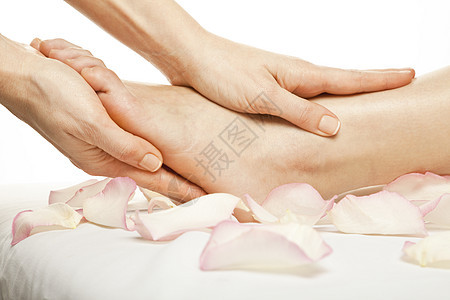 女性腿脚按摩温泉玫瑰康复治疗足疗花瓣白色图片