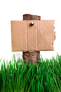 草上的指南签名邮政木板盘子广告牌植物生长广告指导草地纸板图片