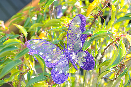 紫蝴蝶装饰背景图片