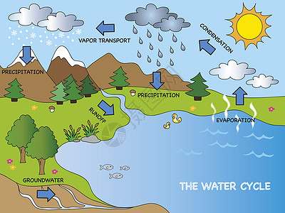 水循环森林太阳地理蒸腾原理图电路地球环境活力生态图片