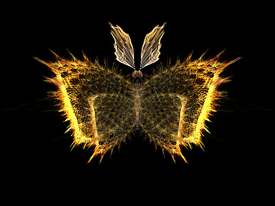 蝴蝶元素奉承生物学眼睛森林数学昆虫学装饰品野生动物几何学漏洞图片